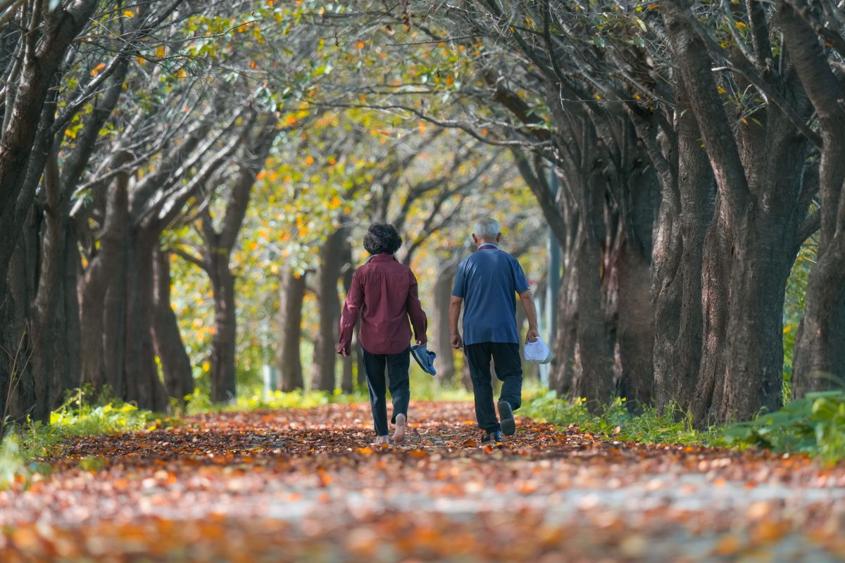 An older adult walking outdoors with confidence alongside a spouse or adult child on a tree-lined path.